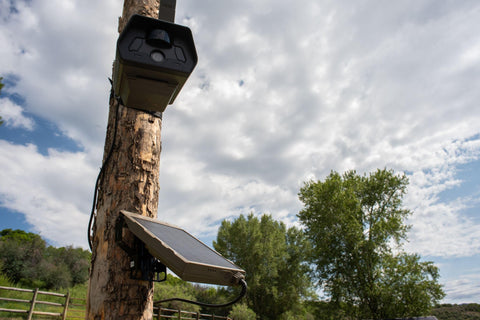 TACTACAM Defend solar panel installed on camera powering daytime surveillance.