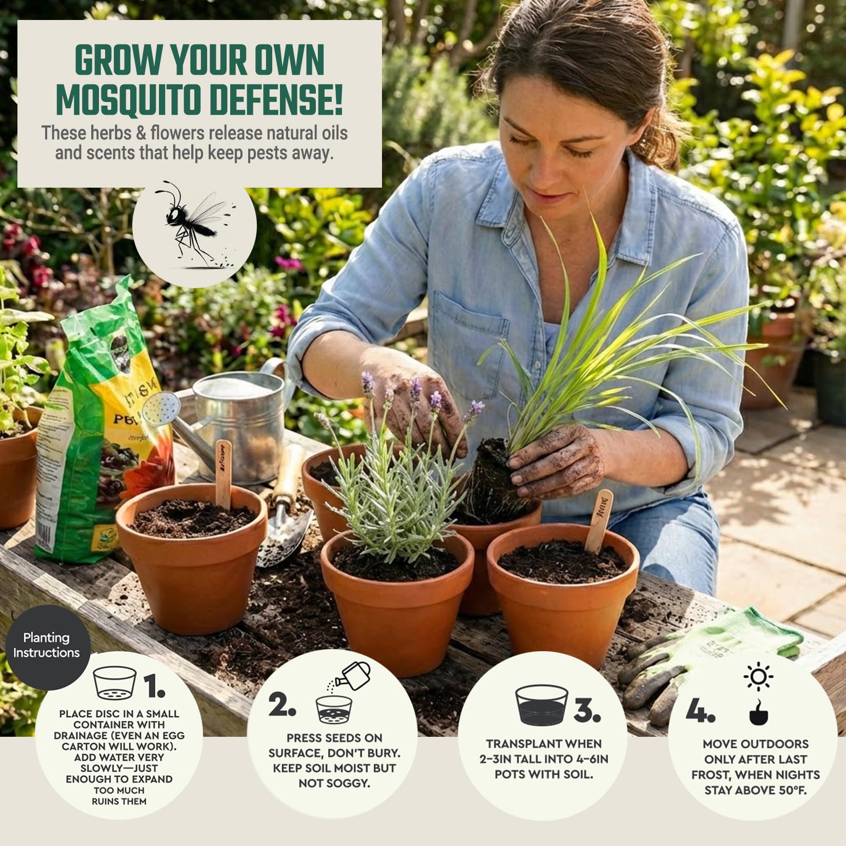 Tactiko Garden basil seed packet for quick growth and pest-deterring fragrance.