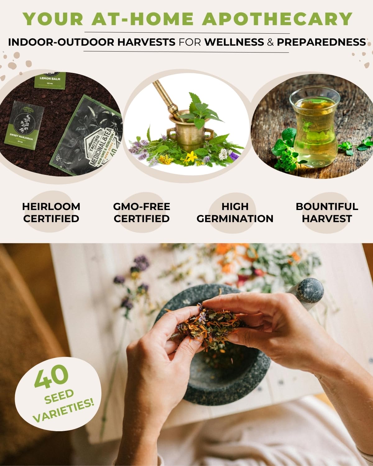 Tactiko Survival raised-bed herbs thriving for year-round harvests