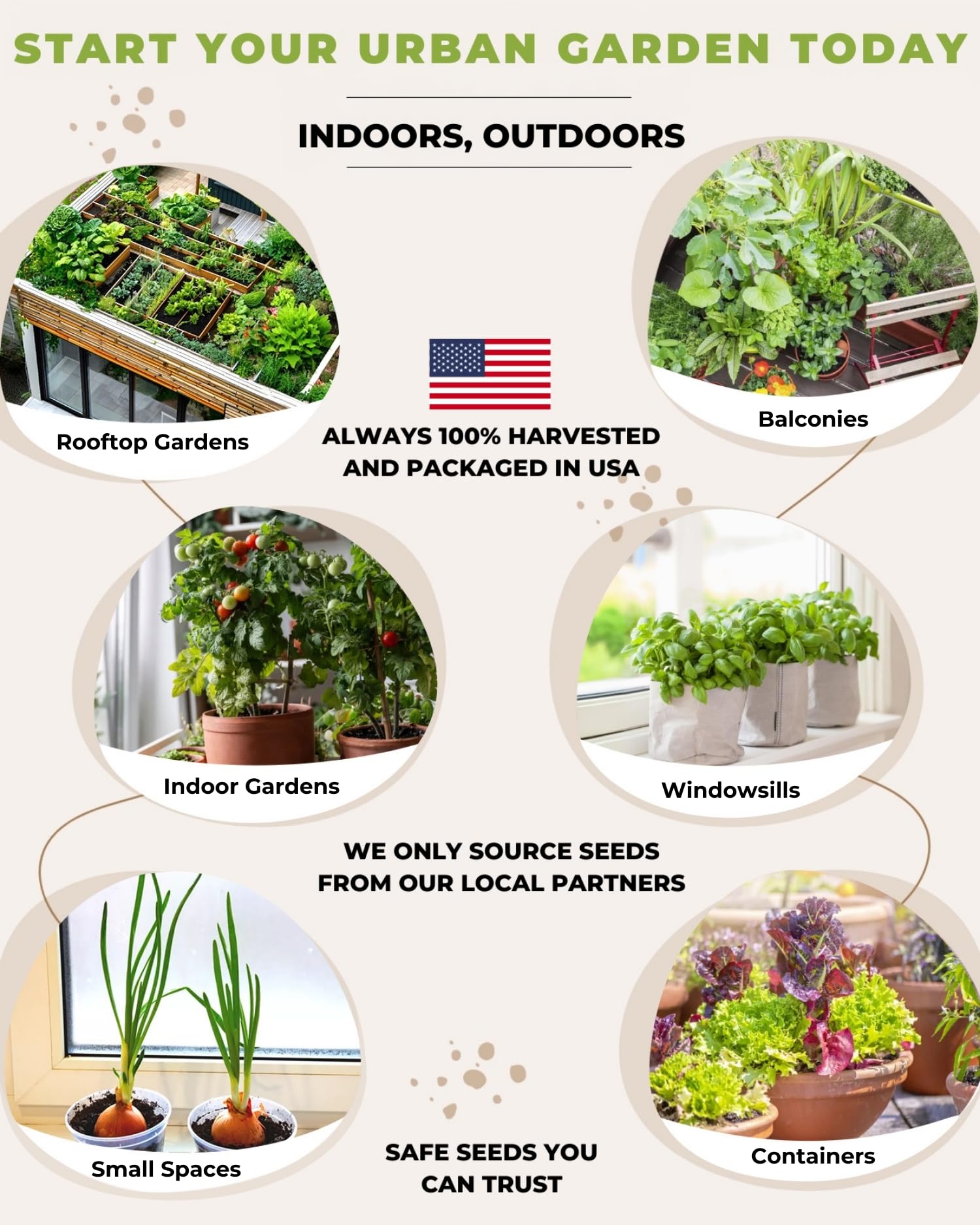 Tactiko Survival vegetable varieties list highlights diverse options for salads and cooking.
