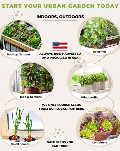 Tactiko Survival vegetable varieties list highlights diverse options for salads and cooking.