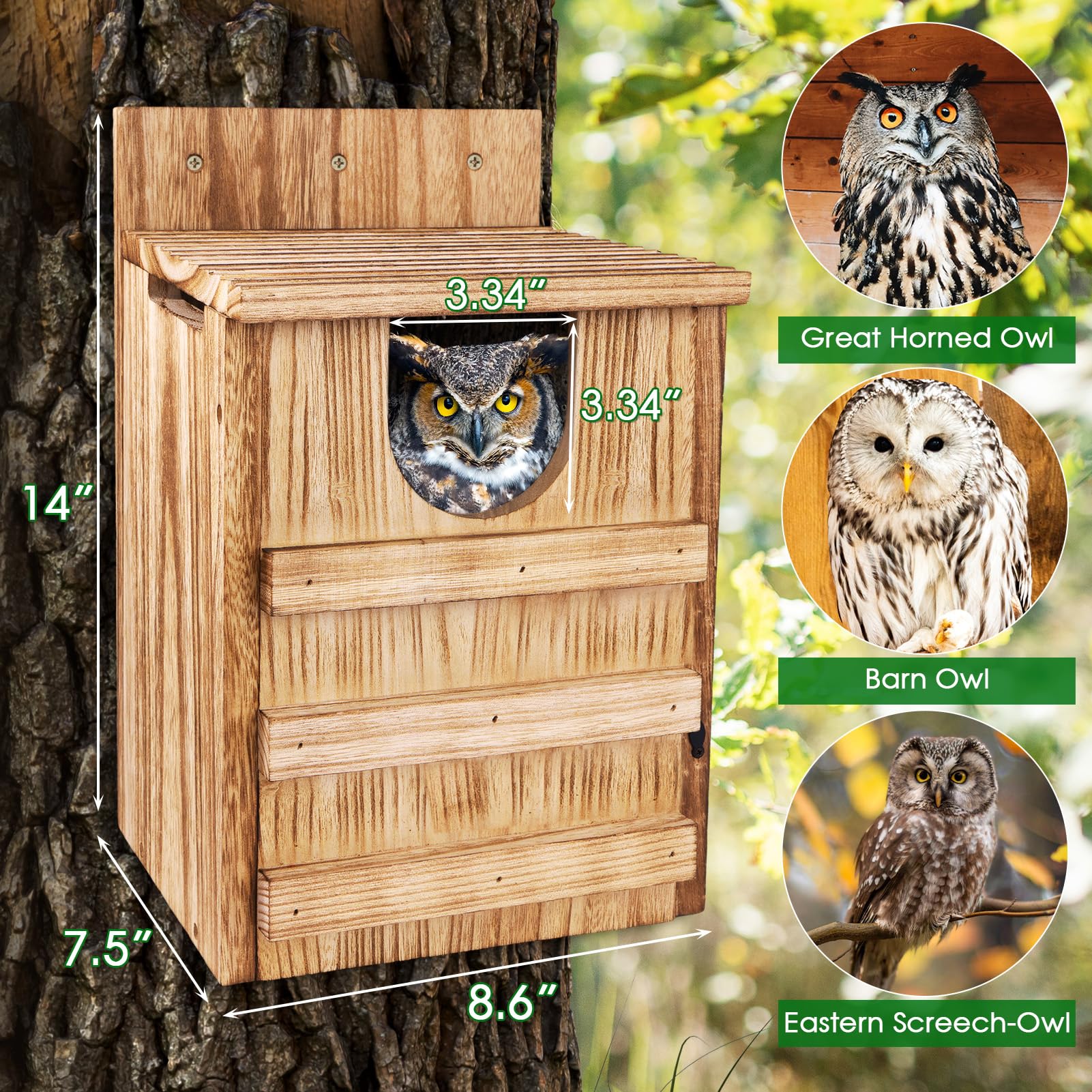 TAGEPUJIE Owl House 3.3 inch entrance hole for predator deterrence
