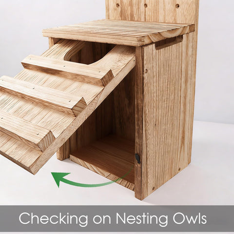 TAGEPUJIE Owl House bottom drainage keeps interior dry