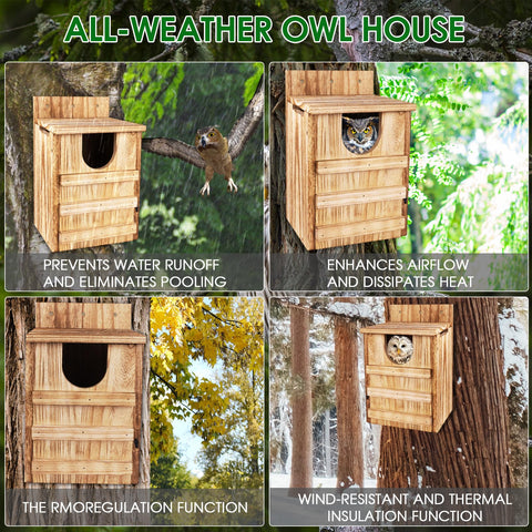 TAGEPUJIE Owl House quick assembly with clear instructions