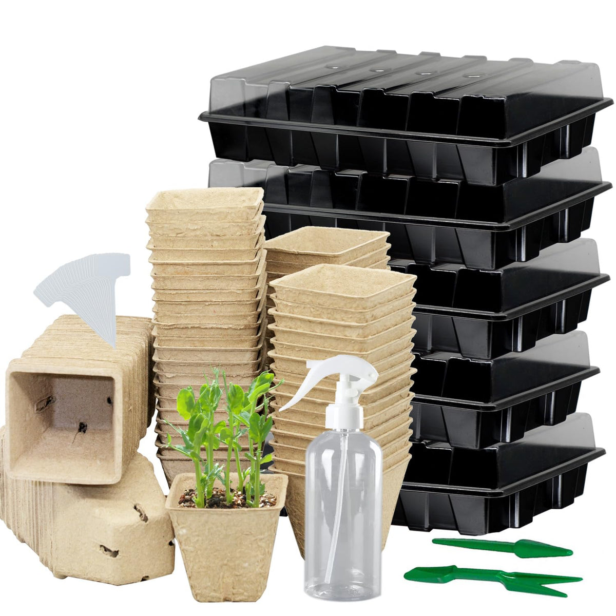 Taietc seed starter kit with peat pots ready for indoor seed germination and growth.