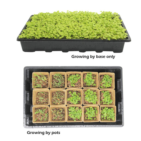 Taietc spray bottle for gentle misting of seedlings.
