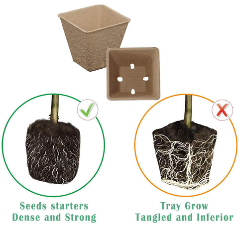 Taietc square peat pots with drainage holes promote healthy root development.
