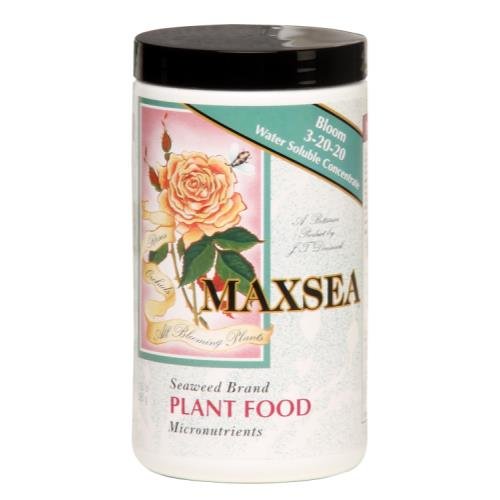 Talent Maxsea Bloom bottle label highlights bloom-focused formula for flowering plants.