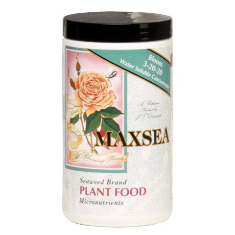 Talent Maxsea Bloom bottle label highlights bloom-focused formula for flowering plants.