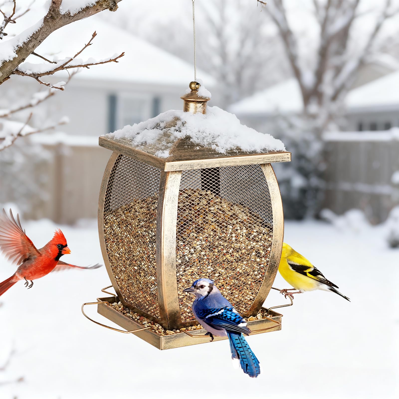 Talkson bird feeder drainage holes prevent seed soggy and spoilage