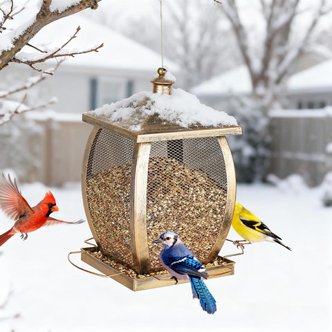 Talkson bird feeder drainage holes prevent seed soggy and spoilage