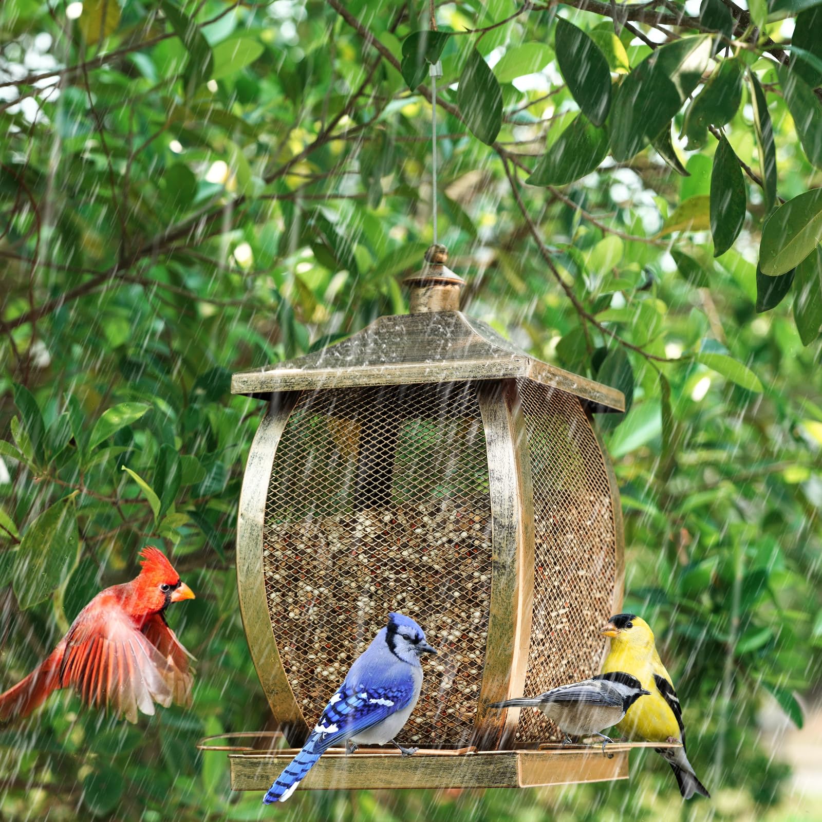Talkson bird feeder easy-fill top opening simplifies refills