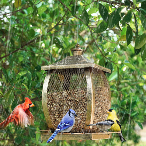 Talkson bird feeder easy-fill top opening simplifies refills
