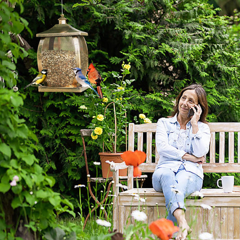 Talkson bird feeder durable design adds garden charm and wildlife appeal