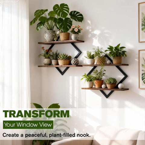 Talvadi two-pack plant holder shelves, easy indoor greenery organization.