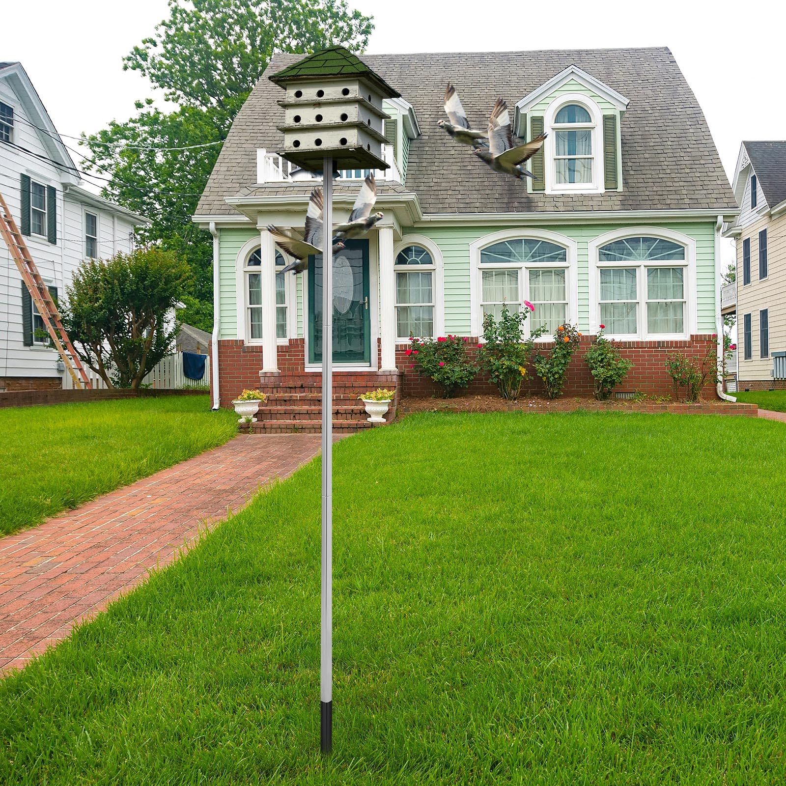 Tandefio height adjustable pole improves bird accessibility to the house