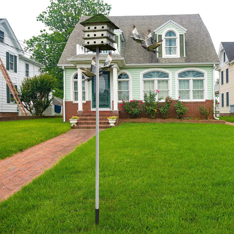 Tandefio height adjustable pole improves bird accessibility to the house
