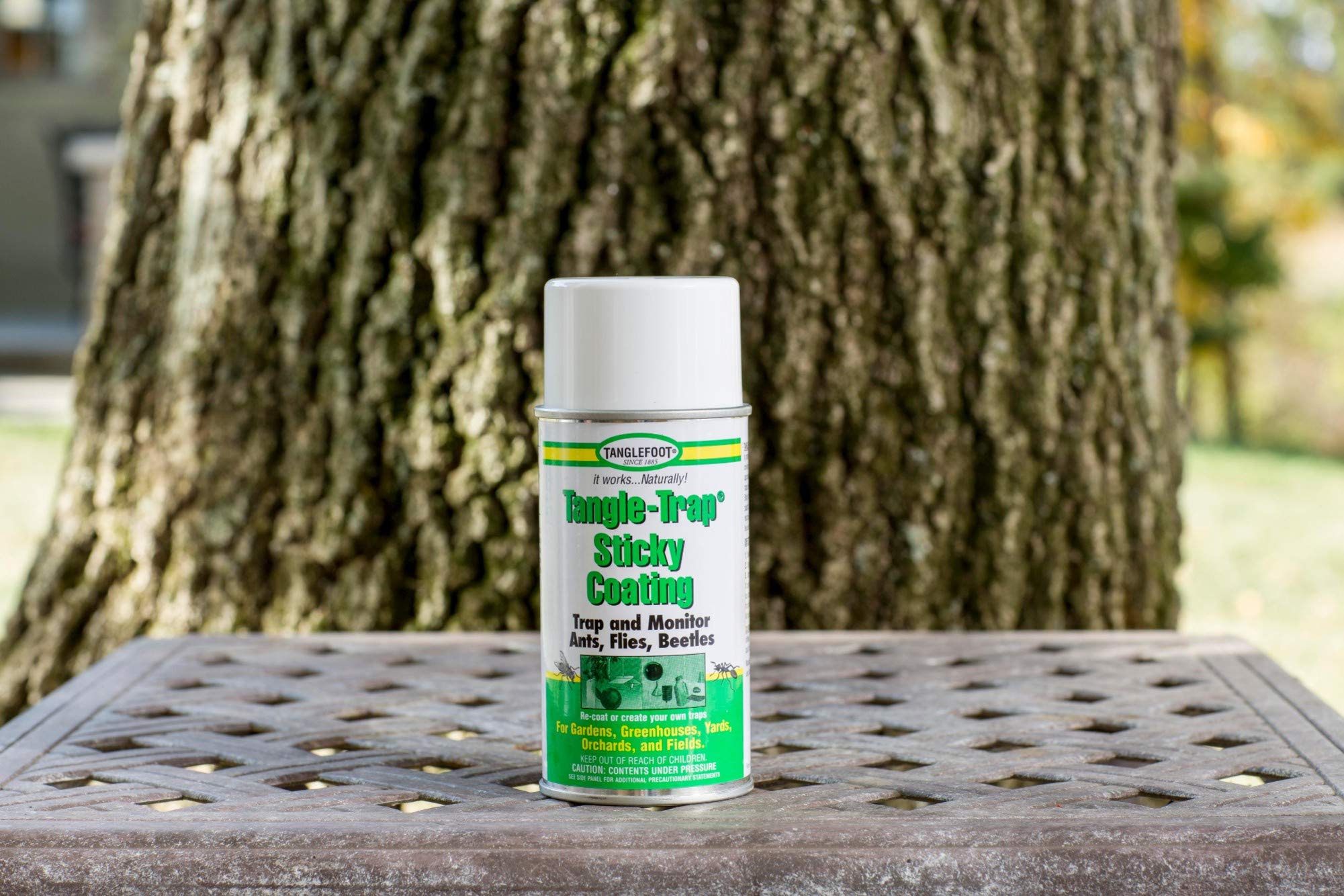 Tanglefoot sticky coating closeup shows natural pest adhesion.