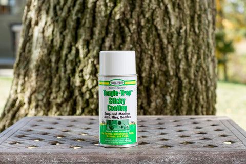 Tanglefoot sticky coating closeup shows natural pest adhesion.