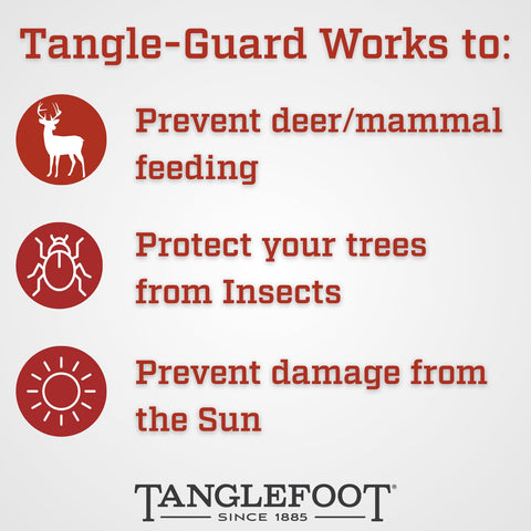 Tanglefoot Tangle-Guard 50-foot roll covers multiple trees in one application
