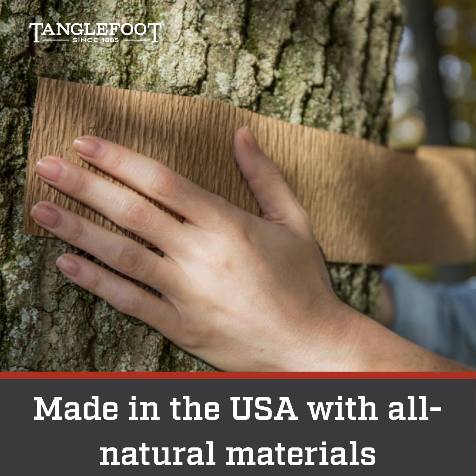 Tanglefoot Tangle-Guard wrap on tree bark closeup showing easy installation