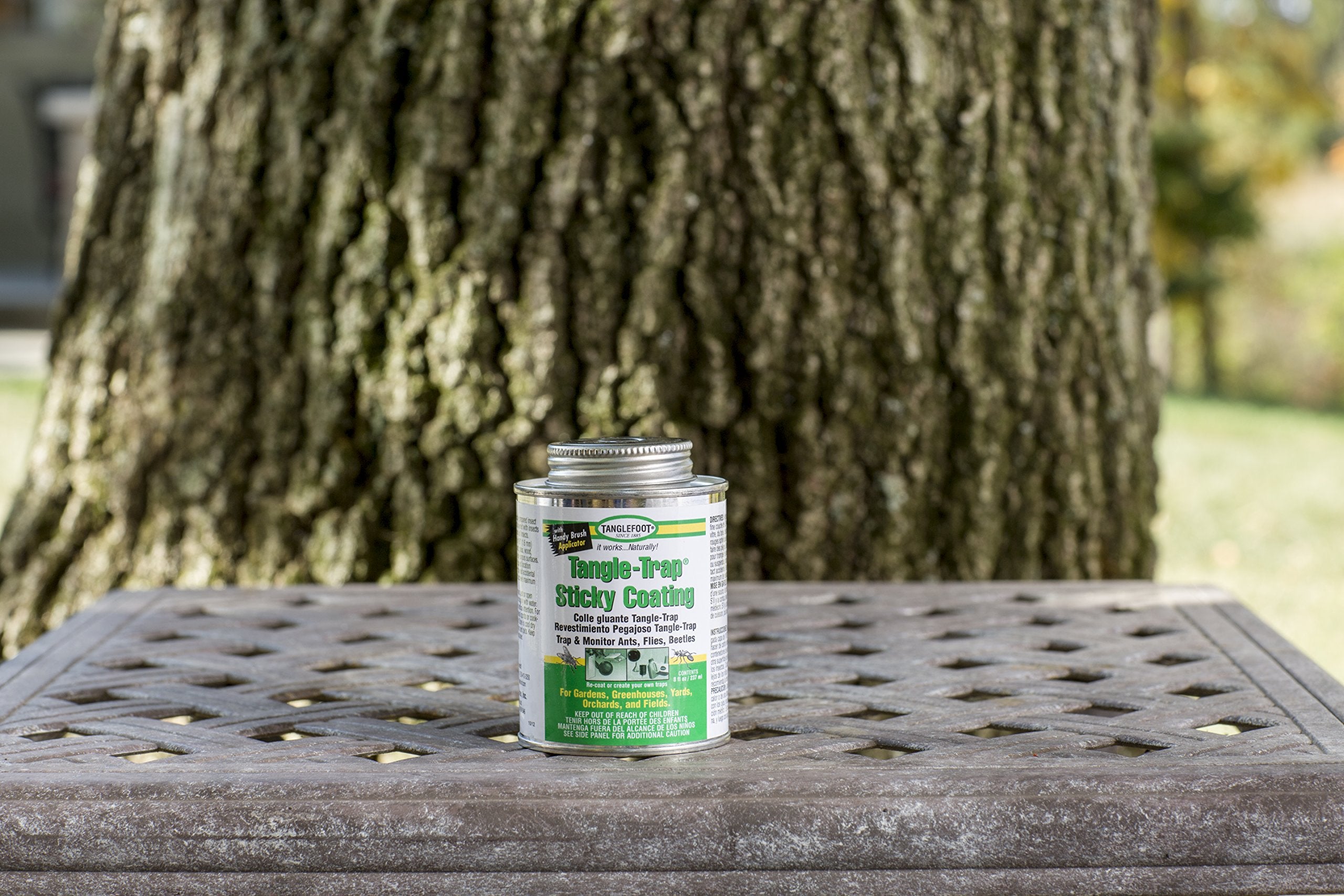 Tanglefoot Tangle-Trap brush-on coating shows precise garden pest application.