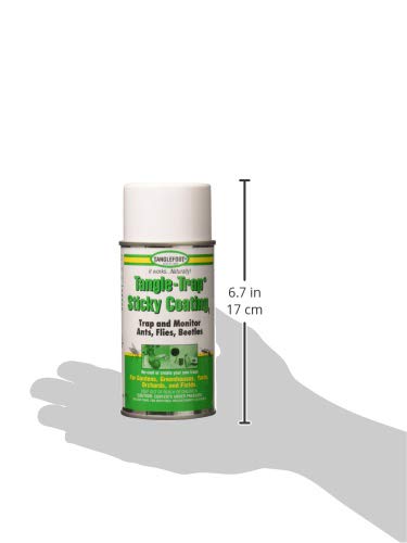 Tanglefoot trap monitor in greenhouse highlights pesticide-free control.