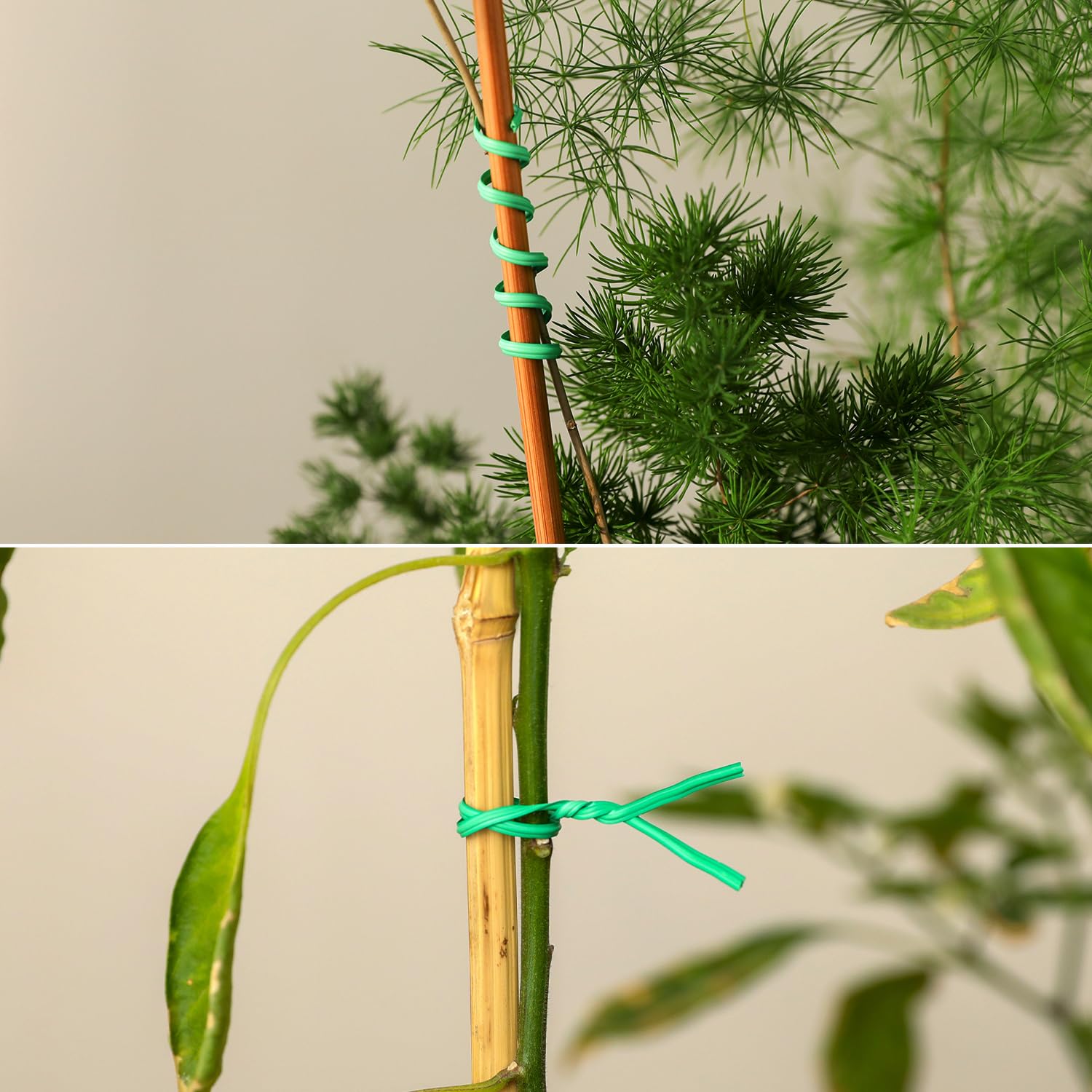 Tangyinrd paper-coated twist ties demonstrate neat finish and easy handling.