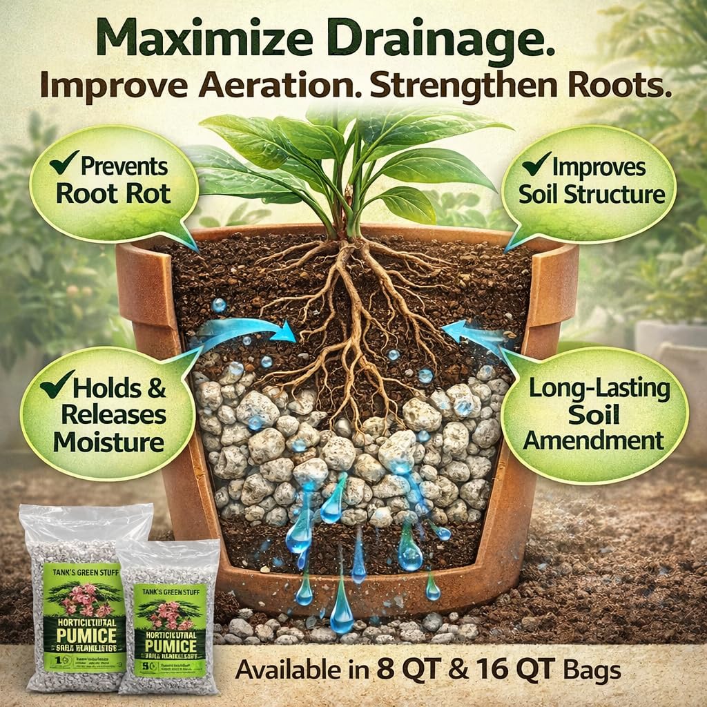 Tank's Green Stuff pumice 16qt used in cactus mix for resilience and moisture control