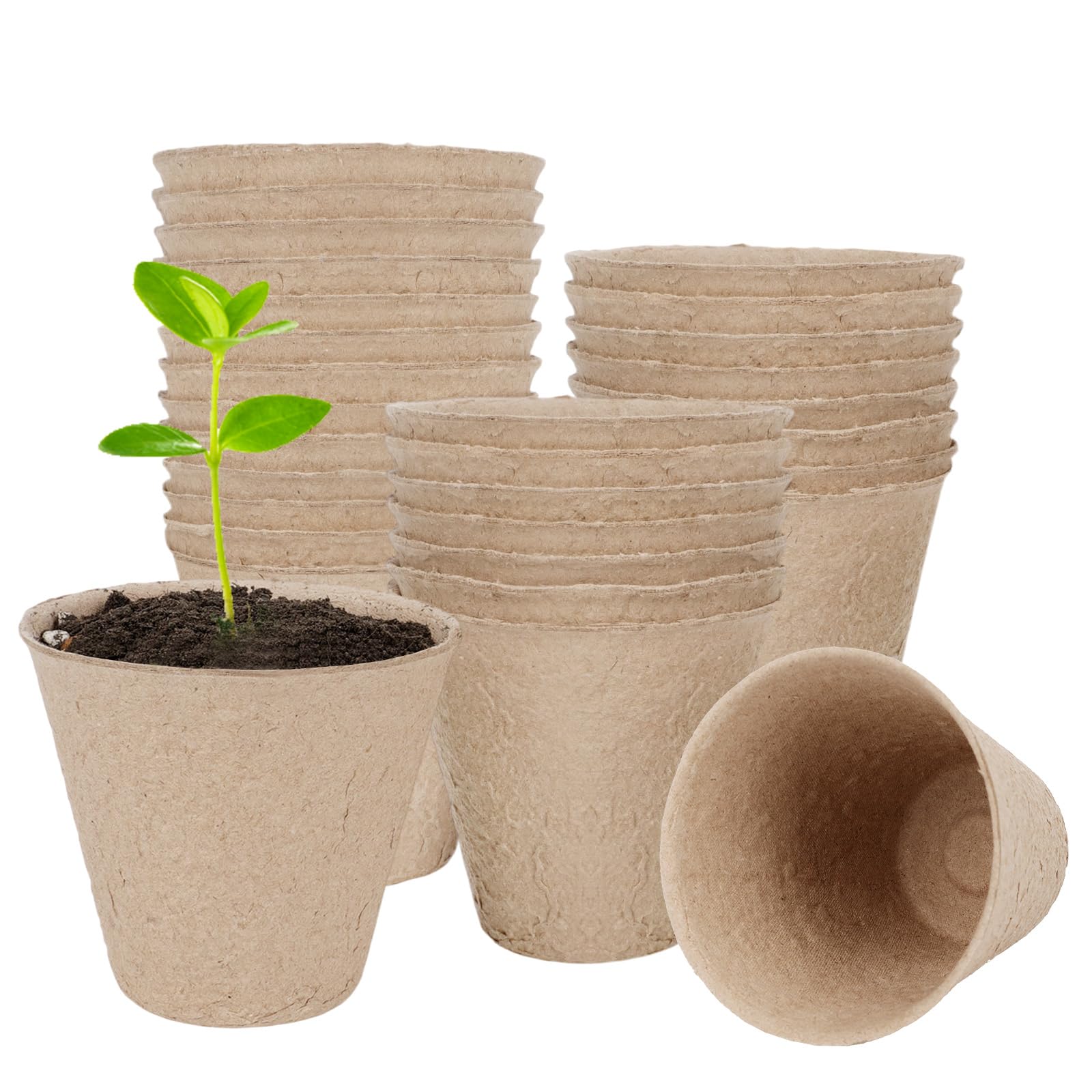 TAOLABV 30-pack peat pots with no drainage holes retain moisture for drought-tolerant plants.