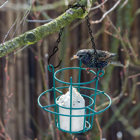 TAORISH ornament hanging chain versatile for holiday and décor displays.