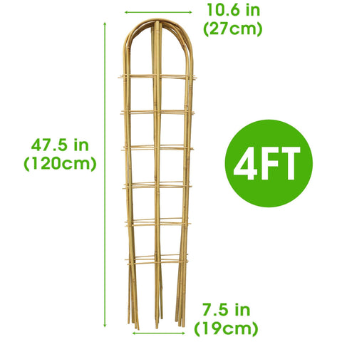 Taoskai 5 Pack bamboo trellis supports bean vines for stable growth.