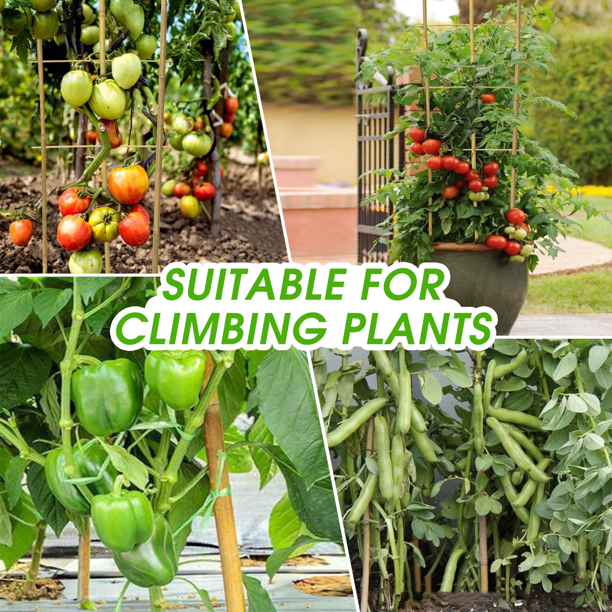 Taoskai 4ft U-Shape Trellis guides cucumber vines for tidy growth.