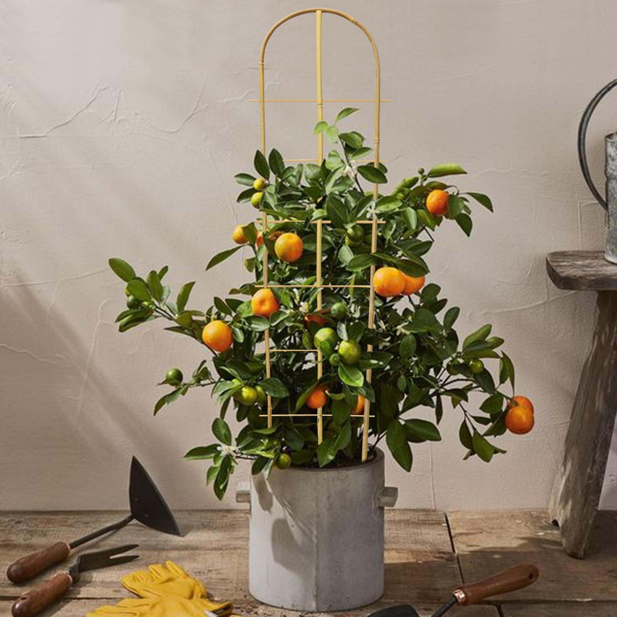 Taoskai bamboo trellis supports flowering climbers like clematis for aesthetics.