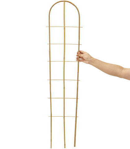 Taoskai 5-pack bamboo trellis for potted plants elevating climbing varieties.