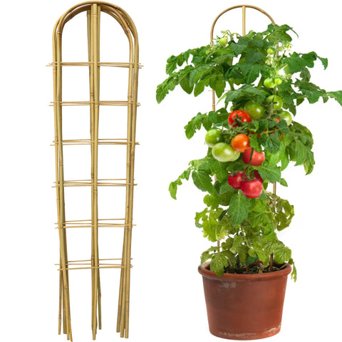 Taoskai 5 Pack 4ft U-Shape Bamboo Trellis supports tomato plants in a sunny garden.