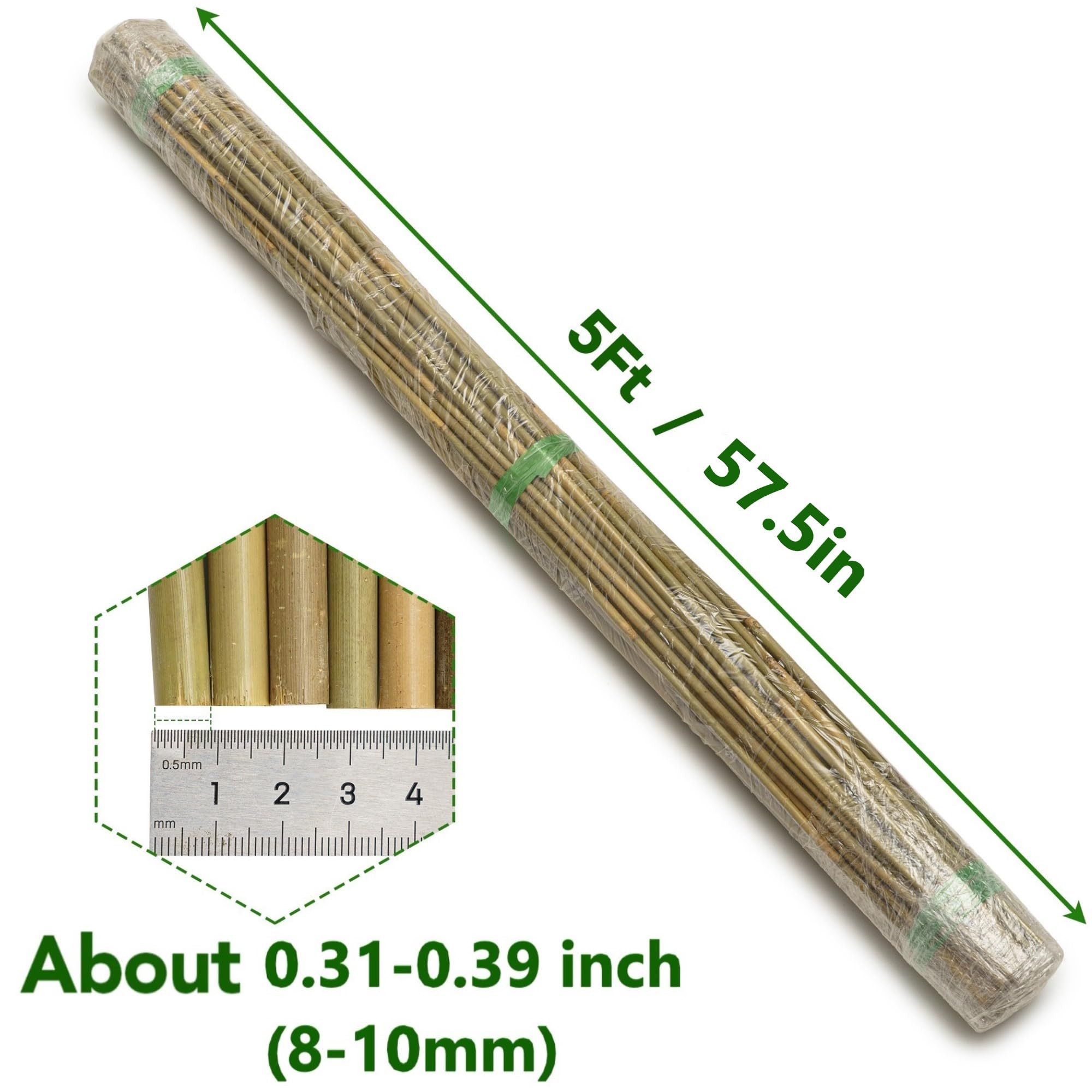 Taoskai 5ft bamboo stake keeps beans upright for easy harvest
