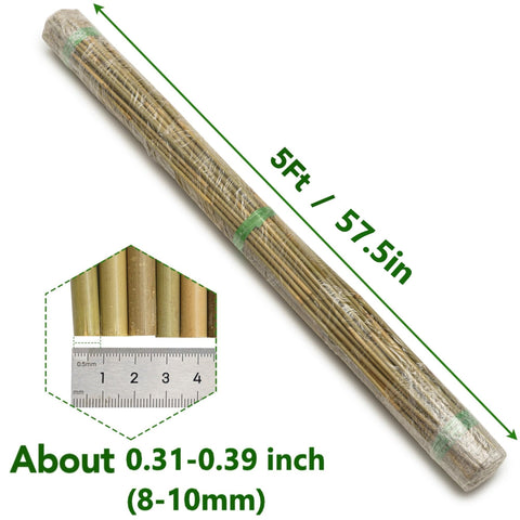 Taoskai 5ft bamboo stake keeps beans upright for easy harvest