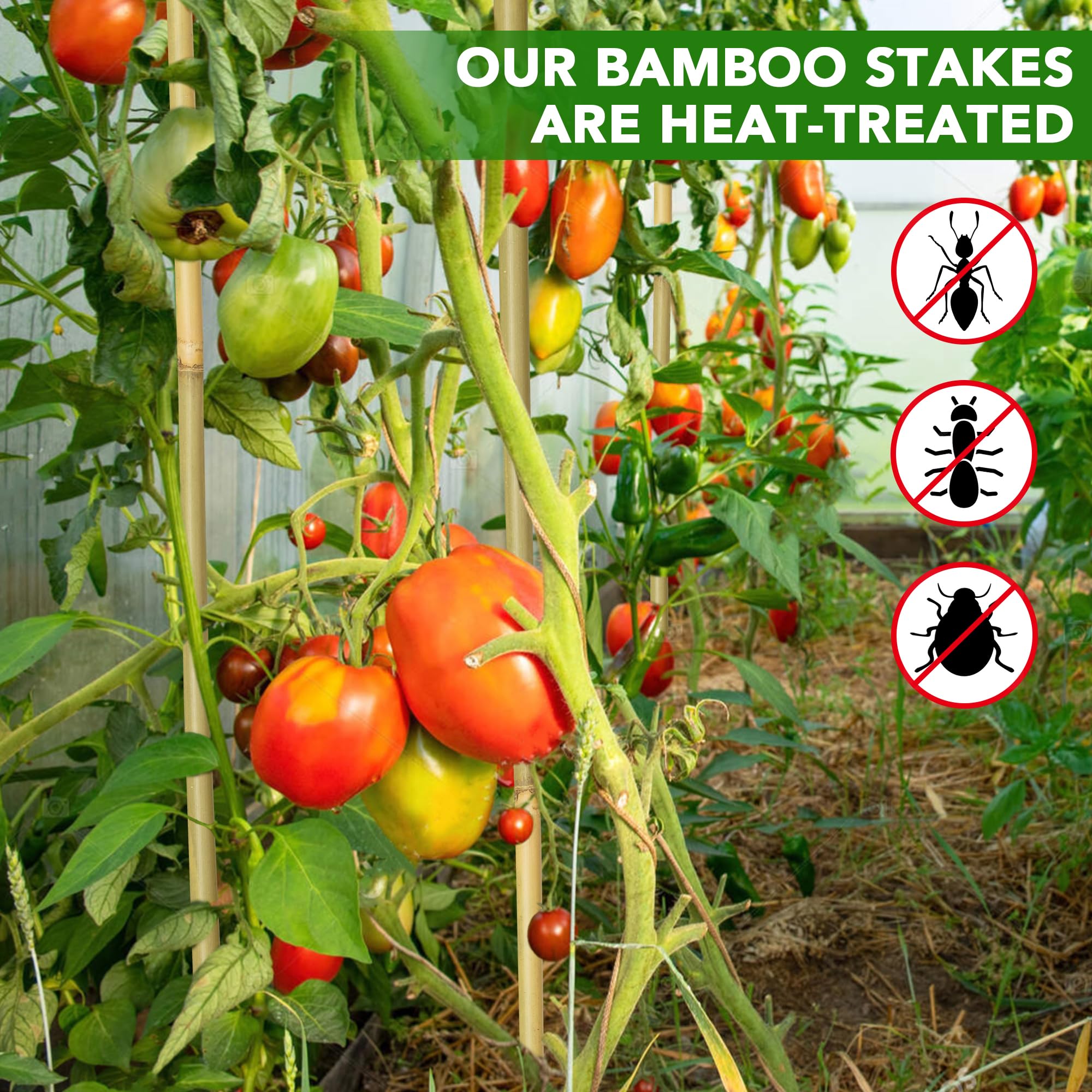 Taoskai 5ft bamboo stake supports cucumbers and peppers in trellis setups