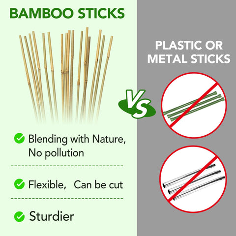 Taoskai 5ft bamboo stake ideal for sunflowers needing vertical growth