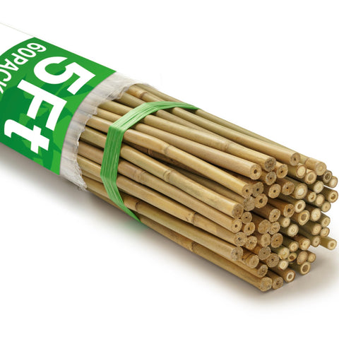 Taoskai 5ft bamboo stake supports tomatoes for steady growth