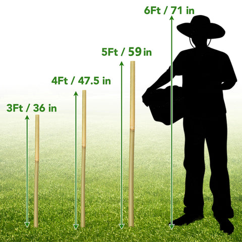 Taoskai 5ft bamboo stake provides natural garden support for trees