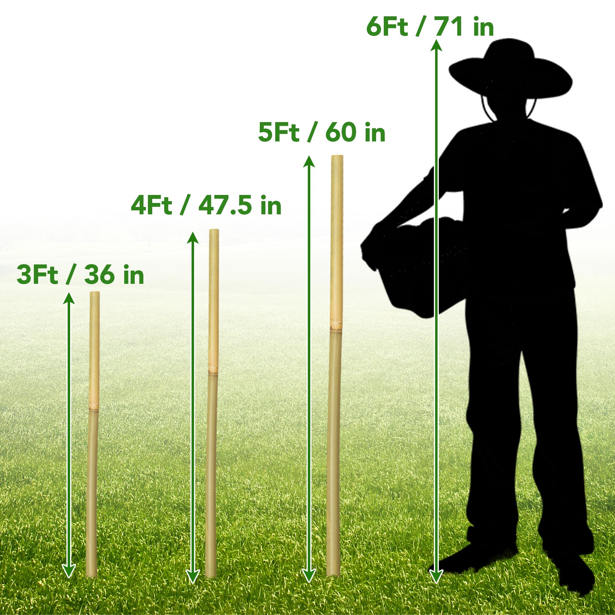 Taoskai bamboo stakes easy installation in your garden.