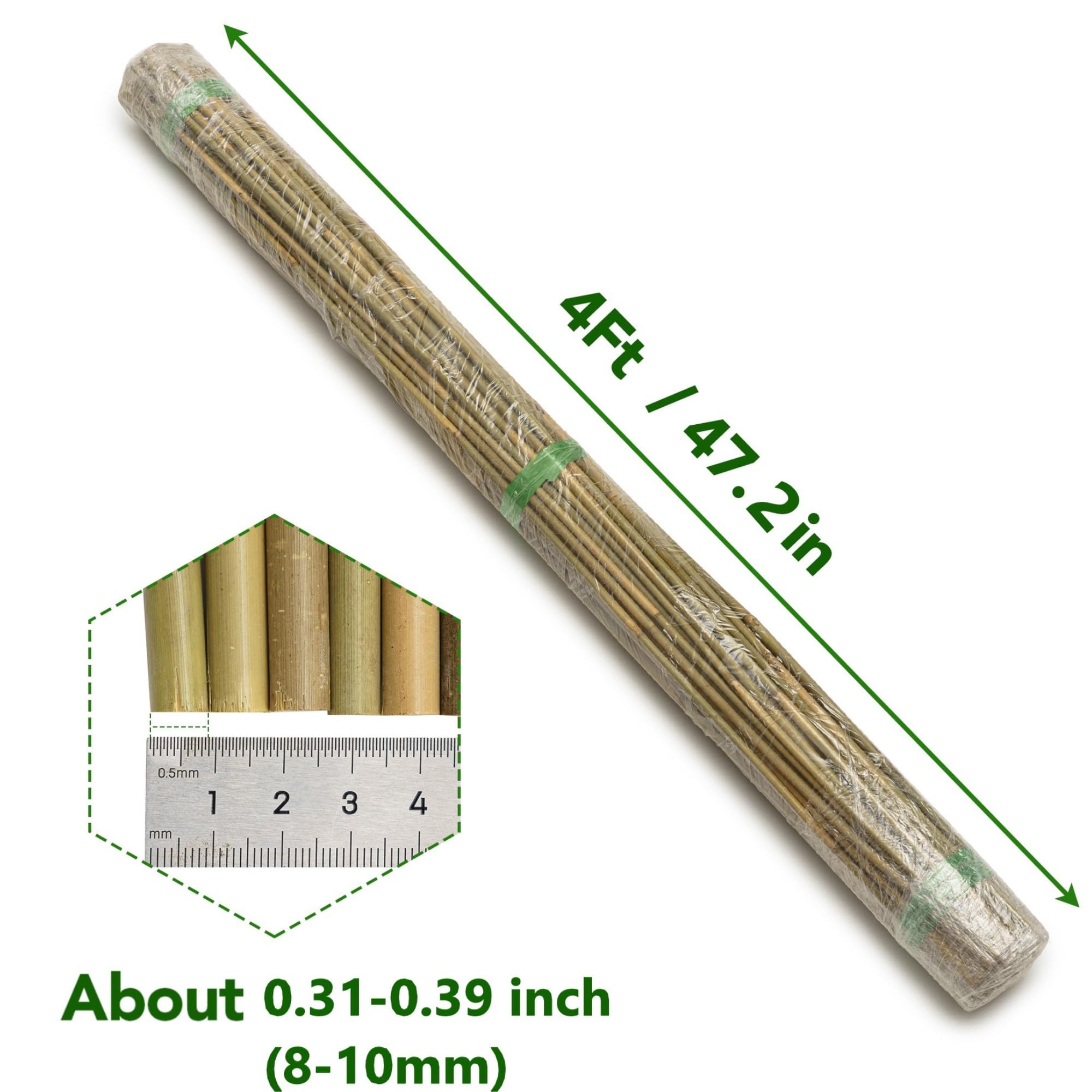 Taoskai bamboo stakes ideal for climbing plants and trellises.