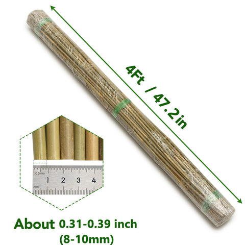 Taoskai bamboo stakes ideal for climbing plants and trellises.
