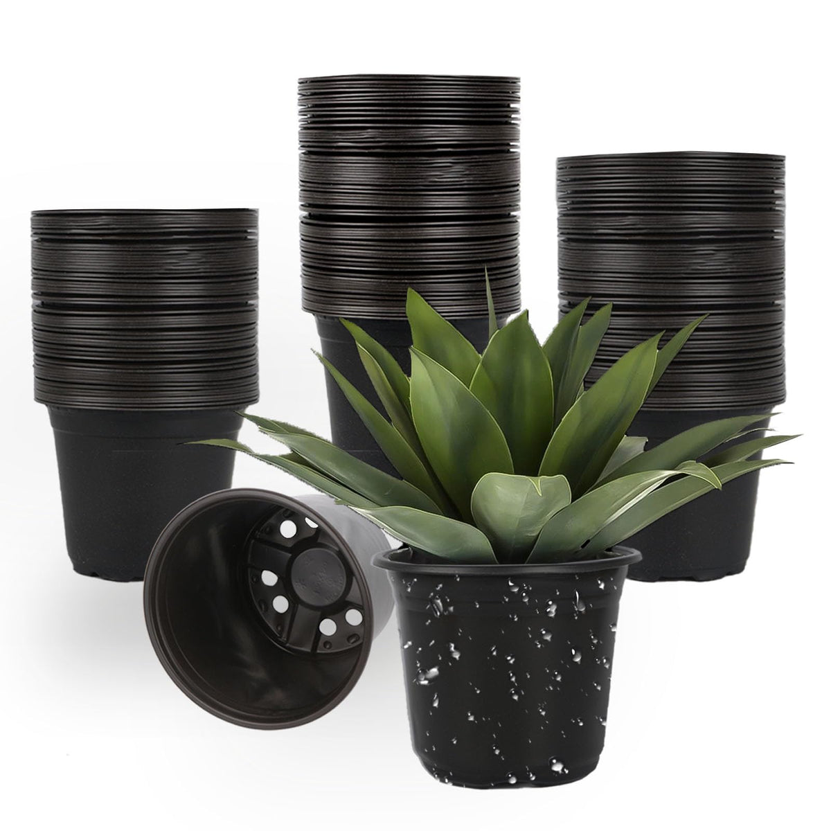 TAQIXI 100-pack 6-inch nursery pot with drainage holes for seed starting and transplanting.