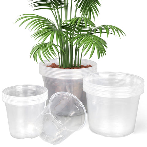 TAQIXI clear nursery pot 6 inch, front view, ideal for root visibility.