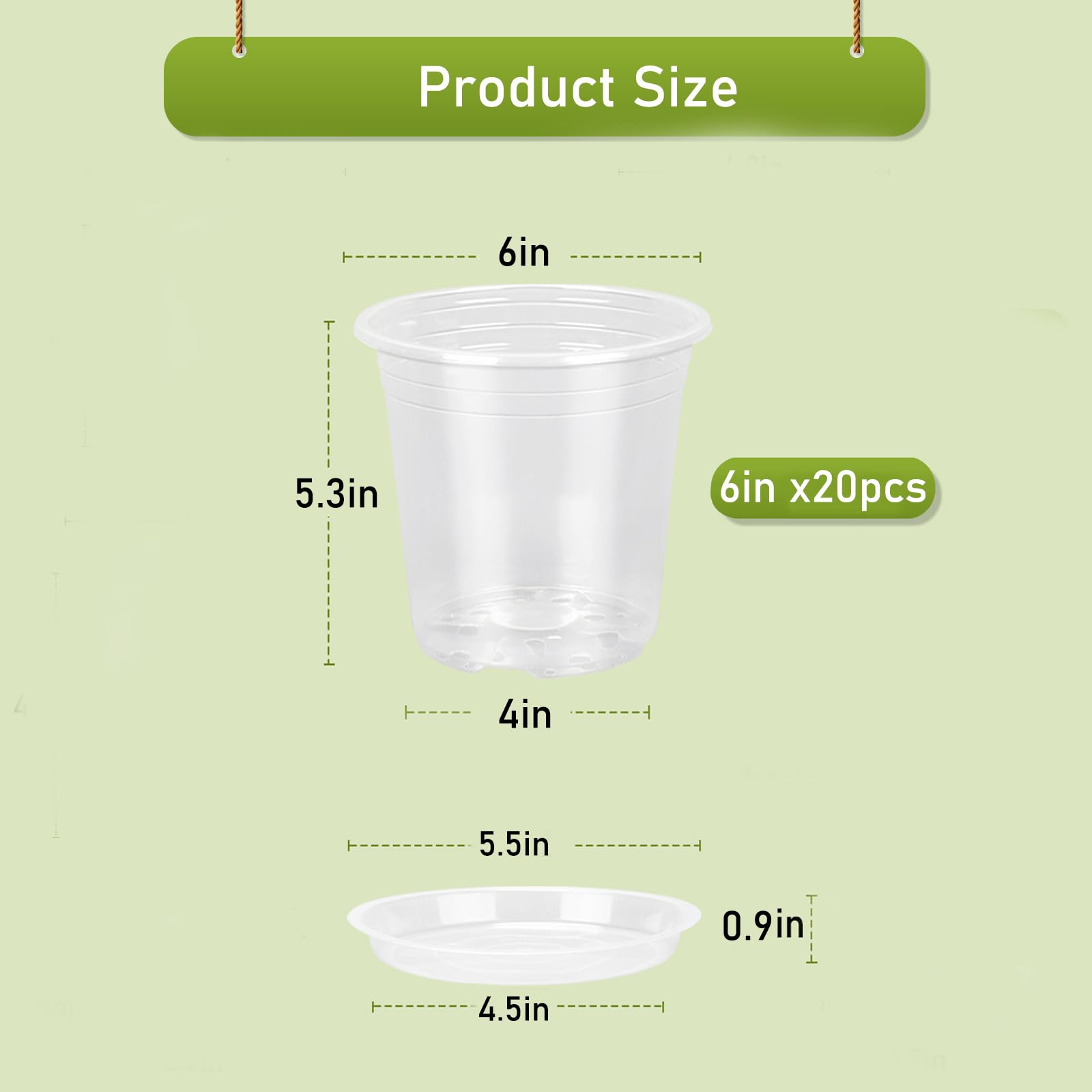 TAQIXI transparent plant pot ideal for seed starting and early root development.