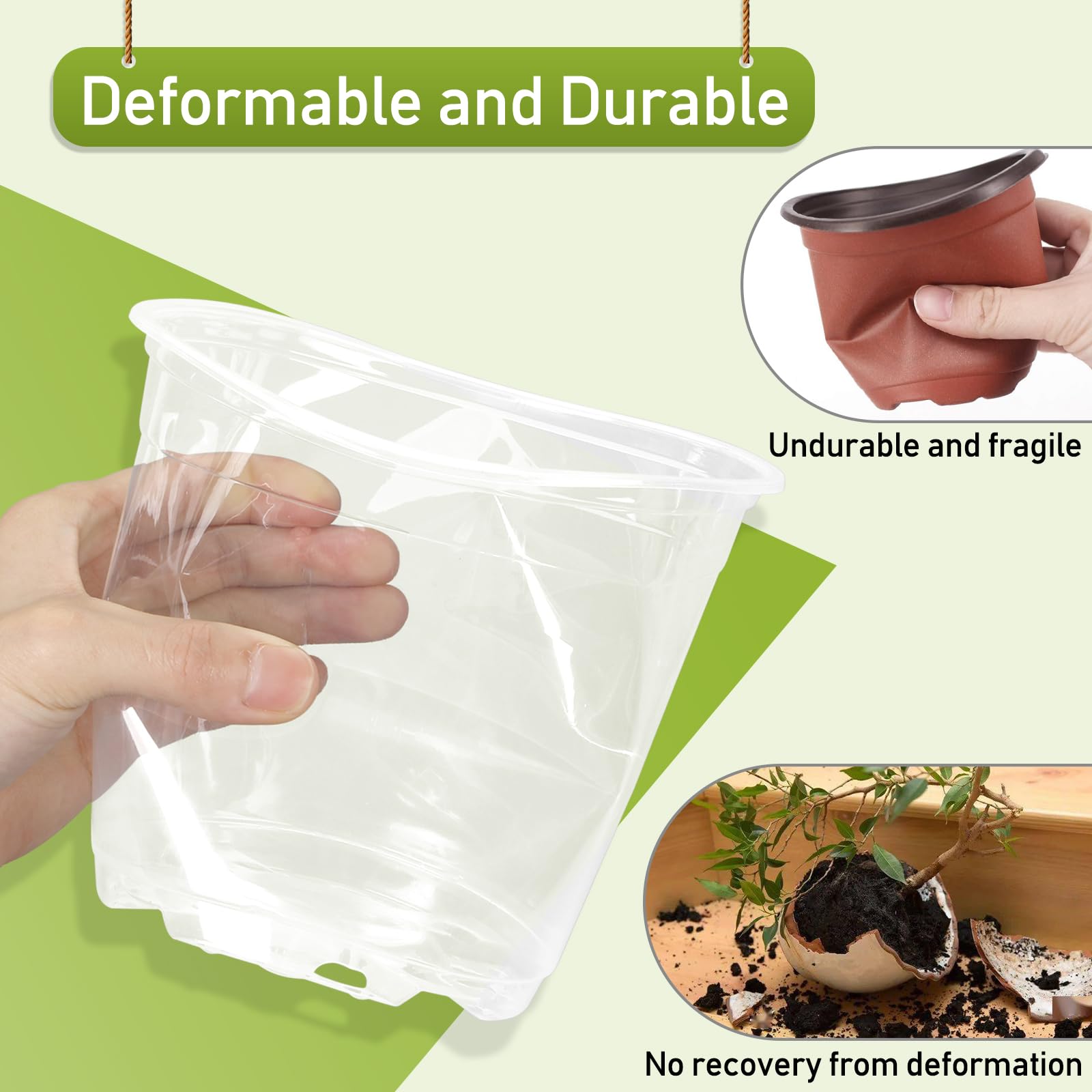 TAQIXI 6-inch pot with saucer set prevents overwatering and showcases roots.