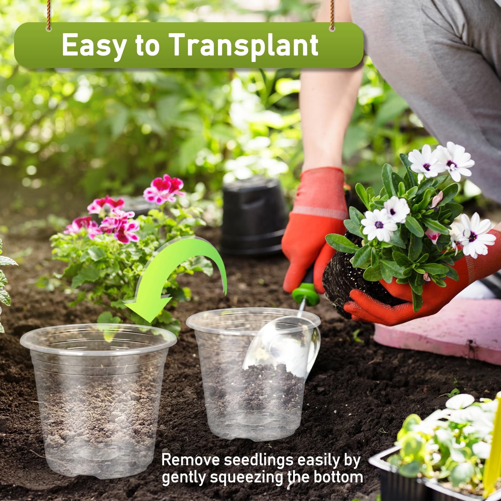 TAQIXI seed starter pots help observe root growth during propagation.